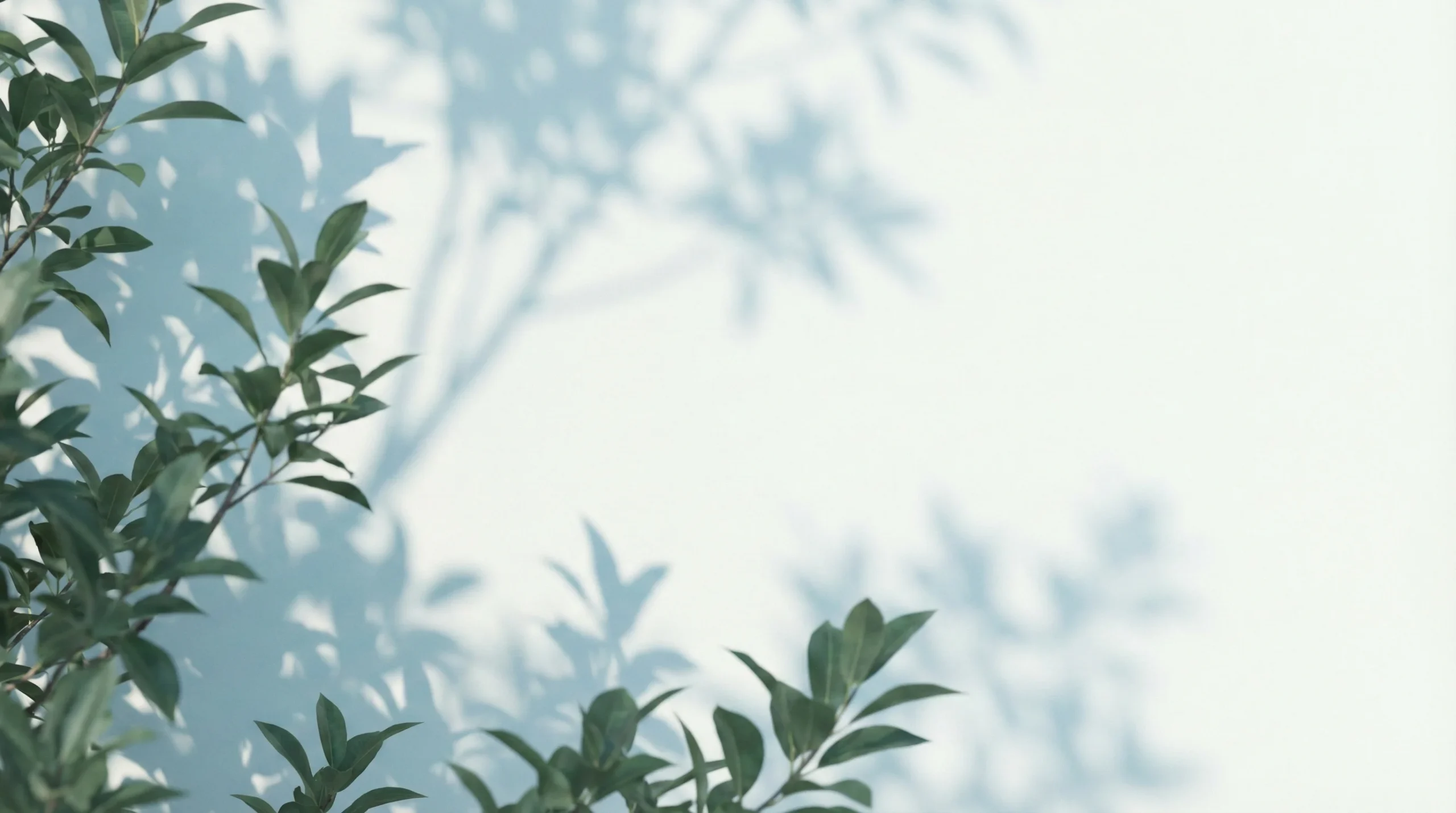 wall with branches scaled